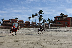 Passeios de cavalo nas praias de Cumbuco