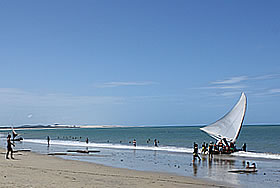 Passeios de Jangada na praia de Cumbuco